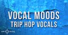 Vocal Moods
