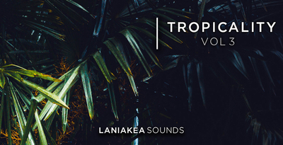 Ls t3 banner