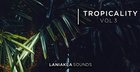 Tropicality 3