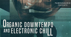 Organic Downtempo & Electronic Chill