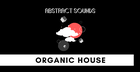 Abstract Sounds - Organic House