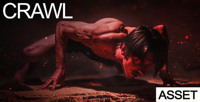 Isr crawl asset banner