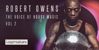 Robert Owens - The Voice Of House Music 2