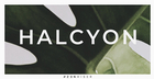 Halcyon