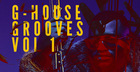 G-House Grooves Vol. 1