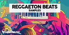 Reggaeton Beats