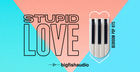Stupid Love: Bedroom Pop Kits