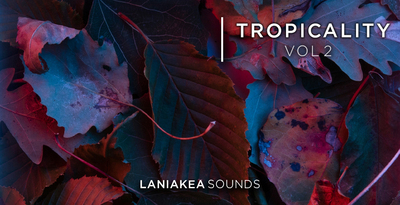 Ls t2 banner