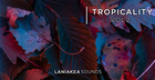 Tropicality 2