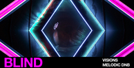Bl visions banner