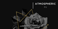 Ls afx banner