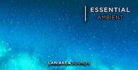 Ls ea banner