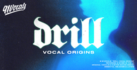 91v dv banner