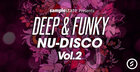Deep & Funky Nu-Disco 2