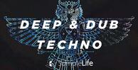 Hol sl d dt banner