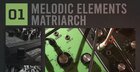 Melodic Elements 01 - Matriarch