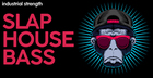 Slap House Bass