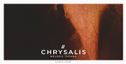 Chrysalis - Melodic Techno