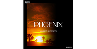 Es phx banner