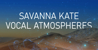 Bos dskva banner