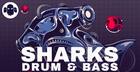 SHARKS: Drum & Bass