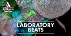 Laboratory Beats