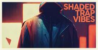 Db stv banner
