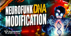 Neurofunk DNA Modification
