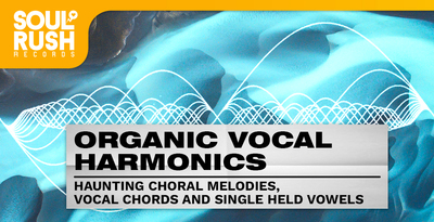 Soul rush records organic vocal harmonics banner artwork