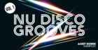 Nu Disco Grooves Vol 1