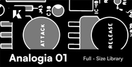 Konturi analogia 01 banner artwork