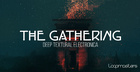 The Gathering - Deep Textural Electronica