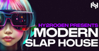 Modern Slap House