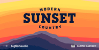 Big fish audio sunset modern country banner artwork