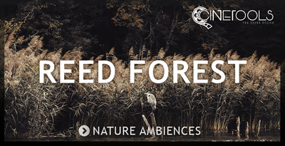 Reed Forest by Cinetools