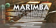 Image sounds marimba banner artwork