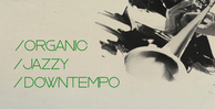 Bingoshakerz organic jazzy downtempo banner artwork