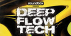Deep Flow Tech