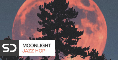 Moonlight Jazz Hop by Sample Diggers