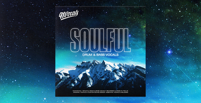 91vocals soulful drum   bass vocals banner artwork