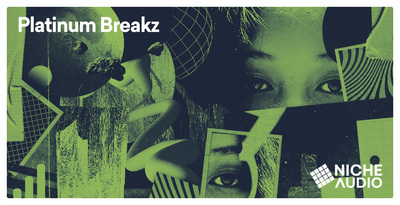 Platinum Breakz by Niche Audio
