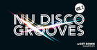 Nu Disco Grooves Vol 2