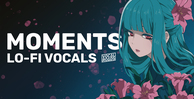 Vocal roads moments lofi vocals banner artwork