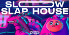 Slow Slap House