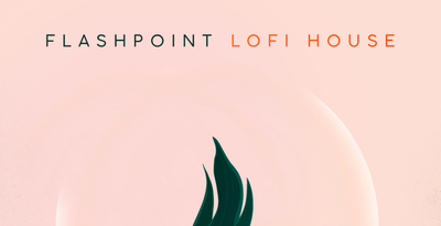 Production master flashpoint lofi house banner artwork