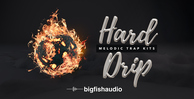 Big fish audio hard drip banner artwork
