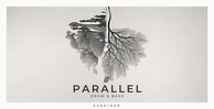 Zenhiser parallel drum   bass banner artwork