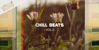 Chill Beats Vol. 2 by Alliant Audio