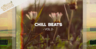 Chill Beats Vol. 2
