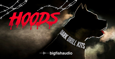 Big fish audio hoods banner artwork